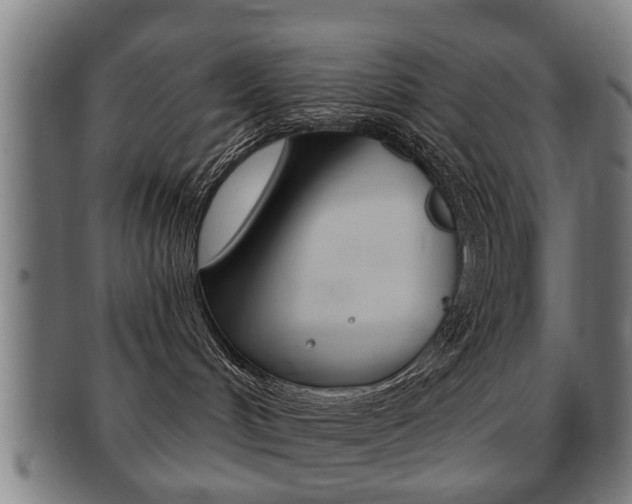 X0000091910048200709051220