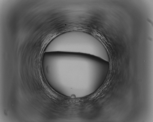 X0000091910049200709051219