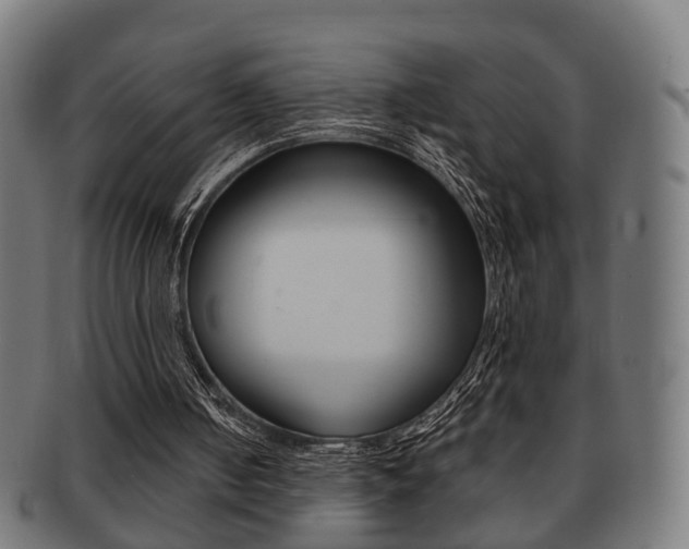 X0000091910050200709051219