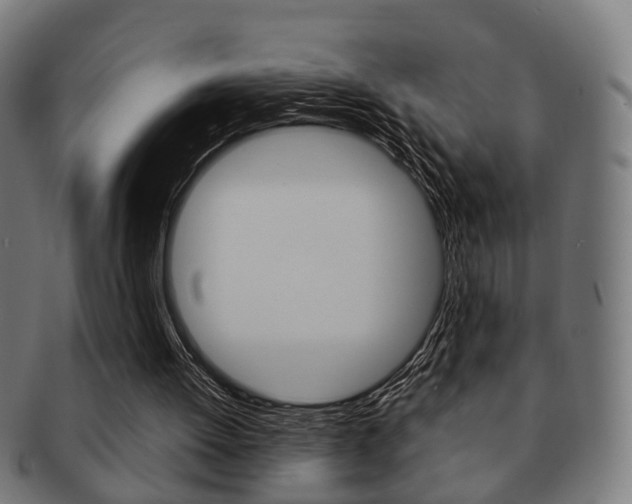 X0000091910052200709051219