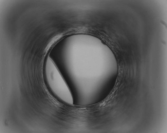 X0000091910054200709051219