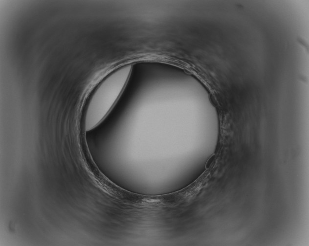 X0000091910055200709051219