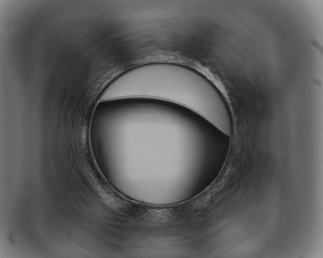 X0000091910057200709051219