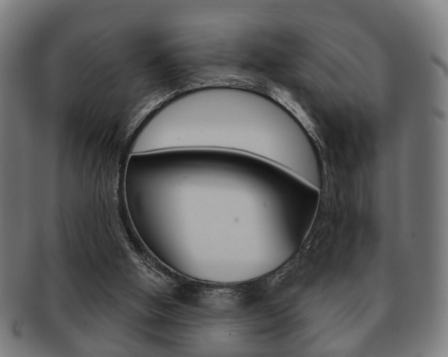 X0000091910058200709051219