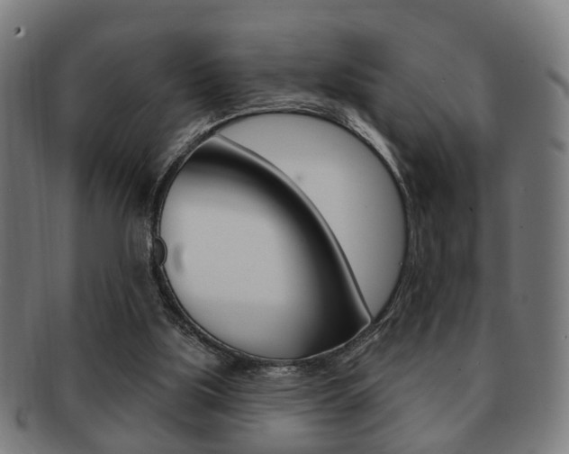 X0000091910059200709051219