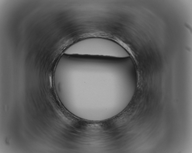 X0000091910061200709051219
