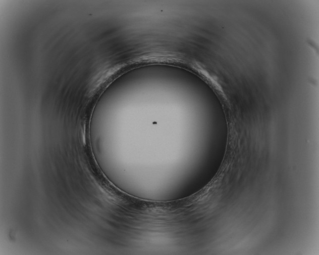 X0000091910062200709051219