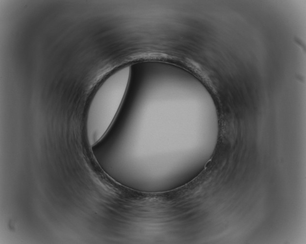 X0000091910063200709051219