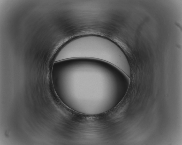 X0000091910064200709051219