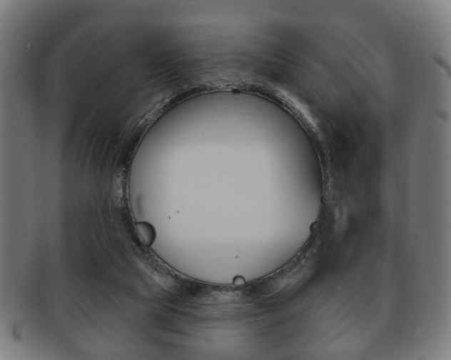 X0000091910065200709051219