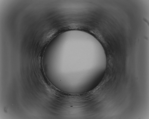 X0000091910066200709051219