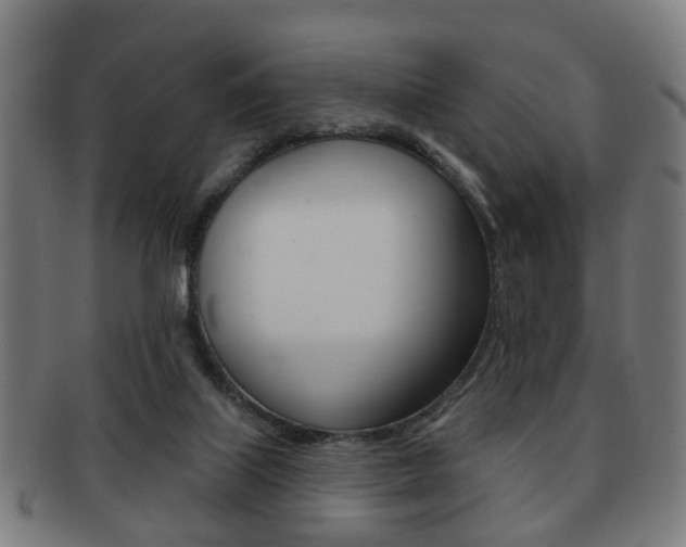 X0000091910067200709051219