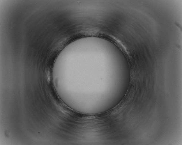 X0000091910069200709051219