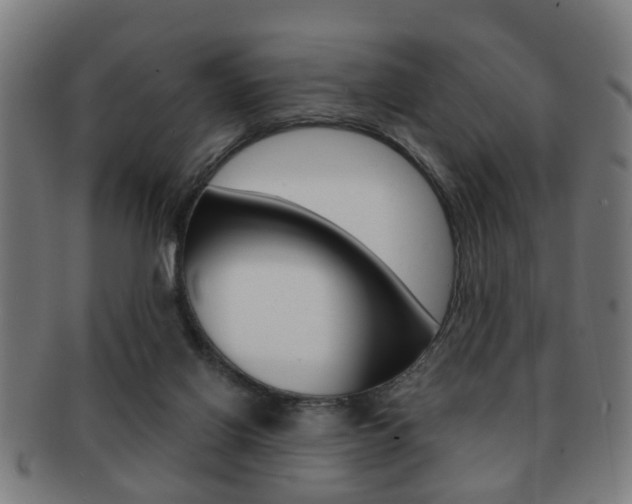 X0000091910070200709051219