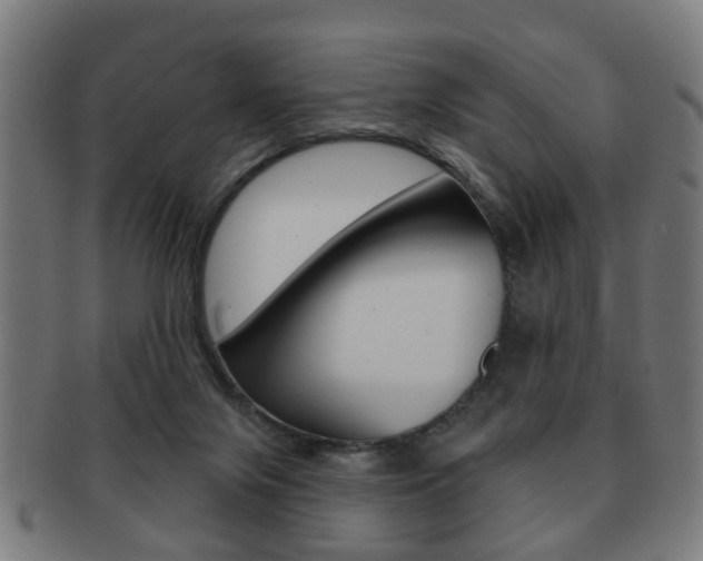 X0000091910071200709051219