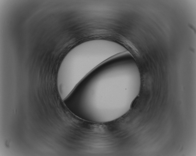 X0000091910073200709051219