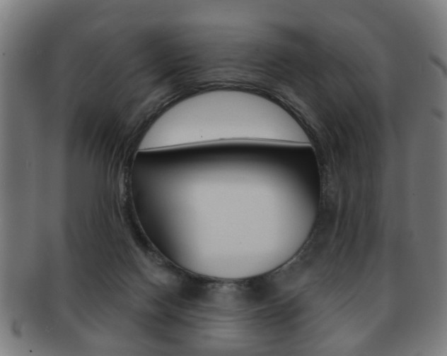 X0000091910074200709051219