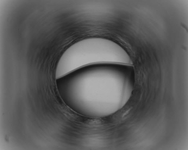 X0000091910075200709051220