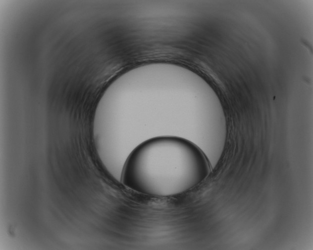 X0000091910076200709051220