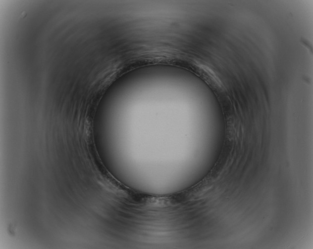 X0000091910077200709051220
