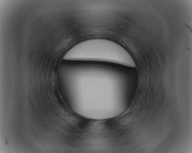 X0000091910078200709051220