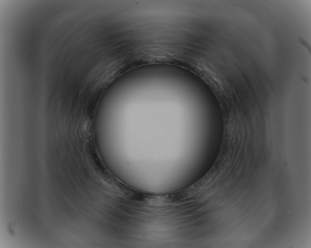 X0000091910079200709051220