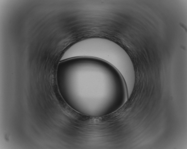X0000091910080200709051220