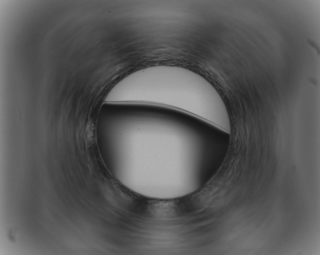 X0000091910081200709051220
