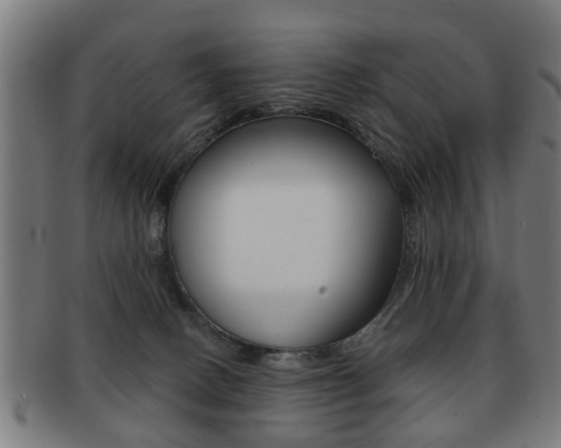 X0000091910082200709051220