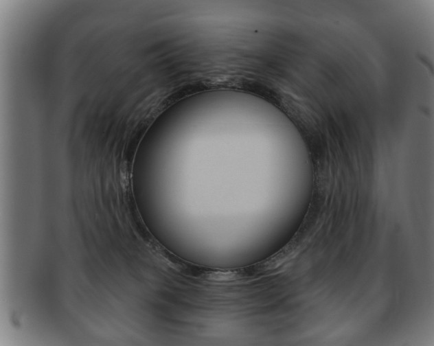 X0000091910085200709051220