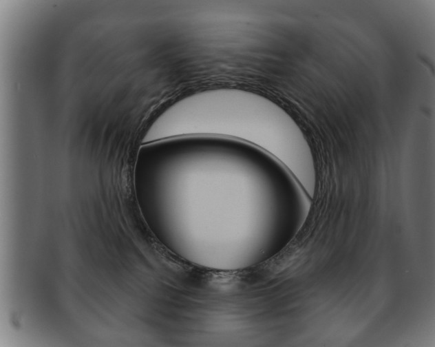 X0000091910088200709051220