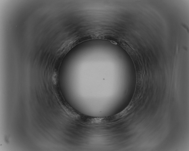 X0000091910090200709051220