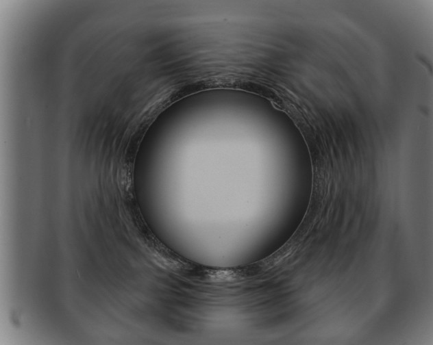 X0000091910091200709051220