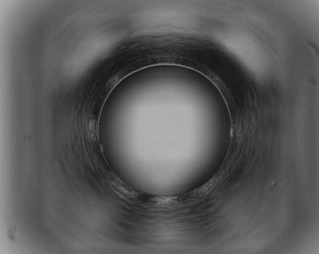 X0000091910093200709051220