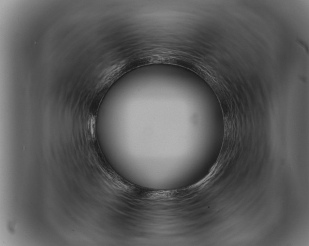 X0000091910094200709051220