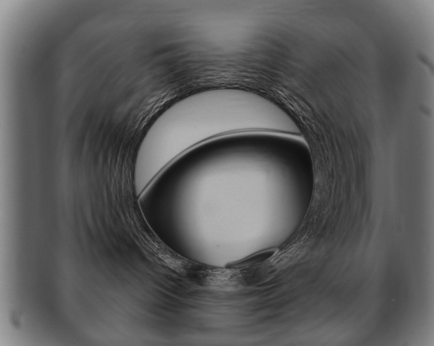 X0000091910096200709051220