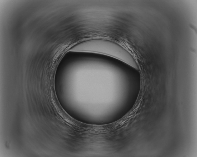 X0000091910097200709051219