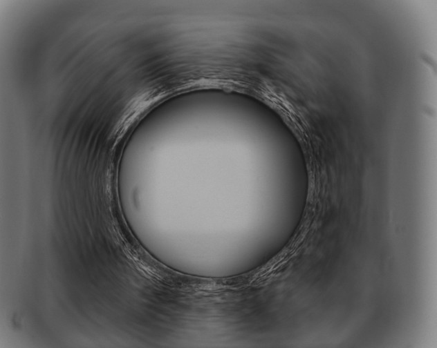 X0000091910098200709051219