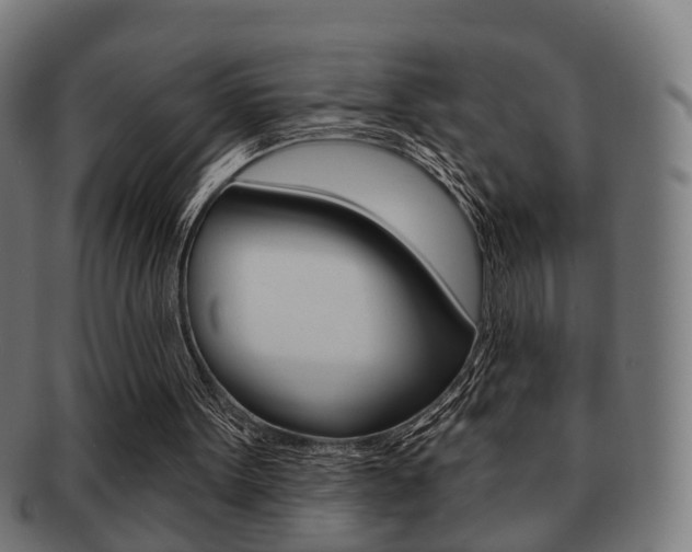 X0000091910099200709051219