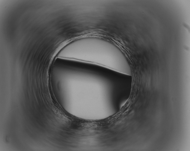 X0000091910100200709051219