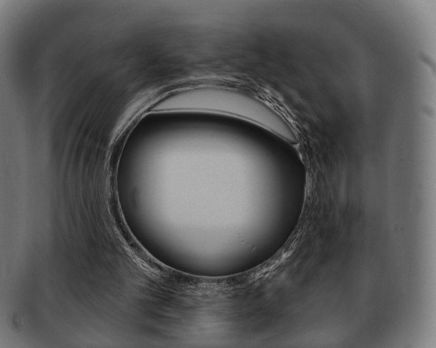 X0000091910101200709051219