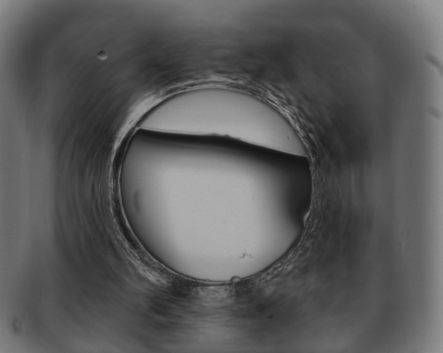 X0000091910102200709051219