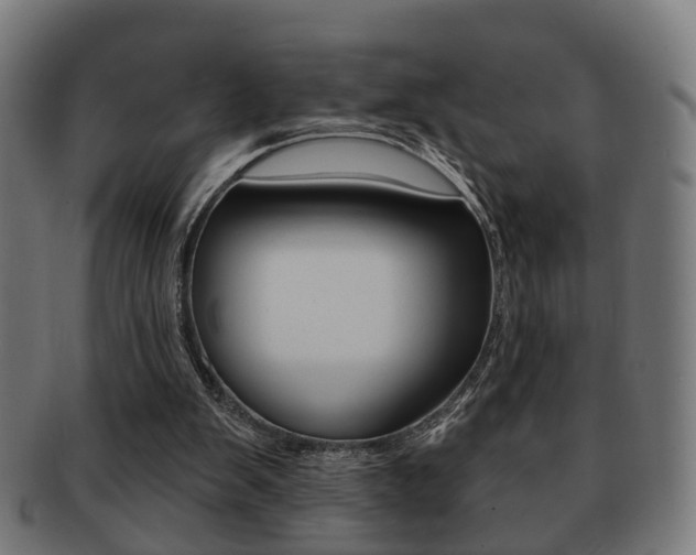 X0000091910103200709051219