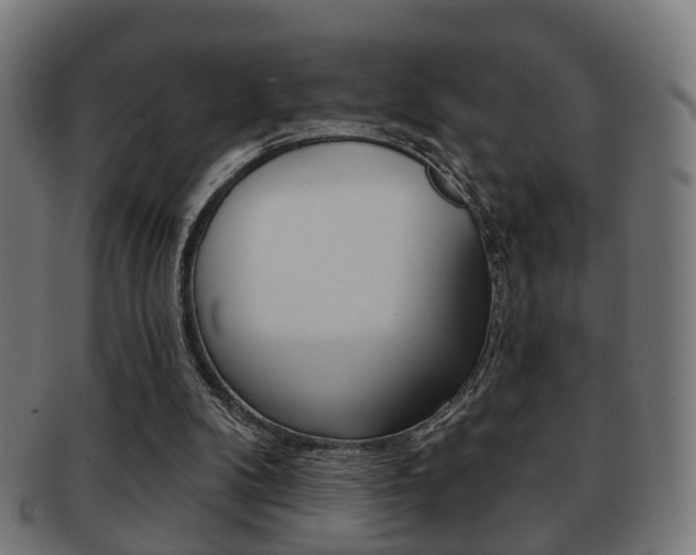 X0000091910104200709051219