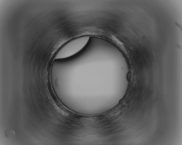 X0000091910106200709051219