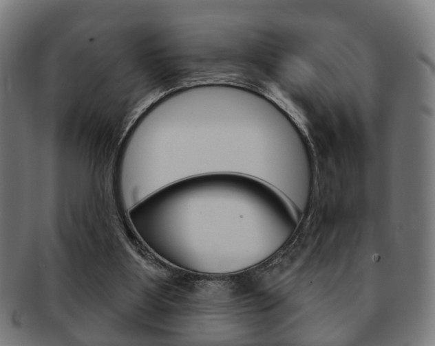 X0000091910107200709051219