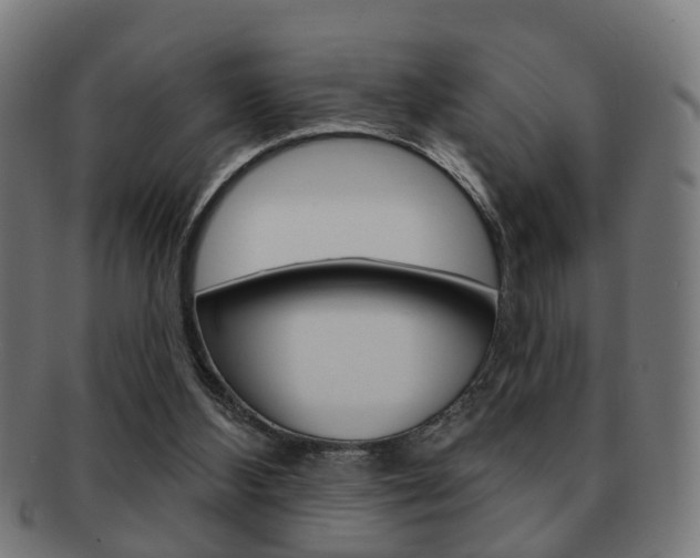 X0000091910108200709051219