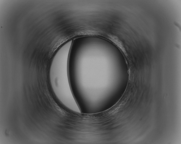 X0000091910109200709051219