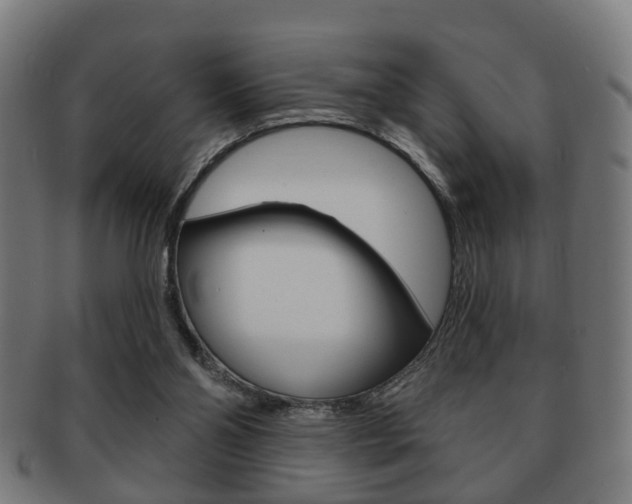 X0000091910110200709051219