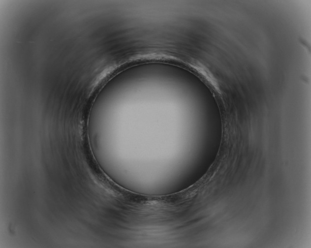 X0000091910111200709051219